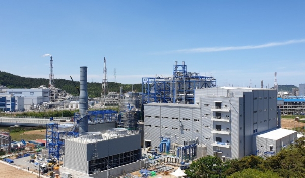 충남 서산시 대산읍에 위치한 서해그린에너지 바이오매스 에너지 설비. DL이앤씨는 이곳에 연간 14만6000톤의 탄소를 포집해 활용하는 공장을 건설할 계획이다.(제공 DL이앤씨)